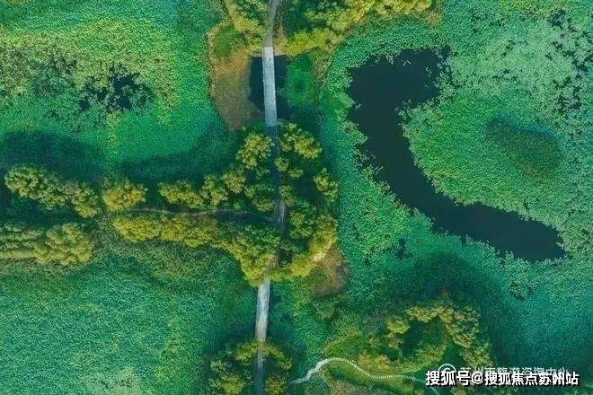 25楼盘评测-鹿溪雅园售楼中心详情户型 小区配套凯发K8旗舰店APP鹿溪雅园售楼处欢迎您 20(图18)